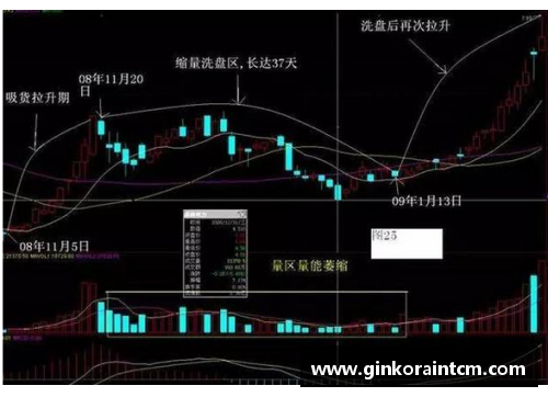 秘技揭秘：接发球成功的关键技巧与策略